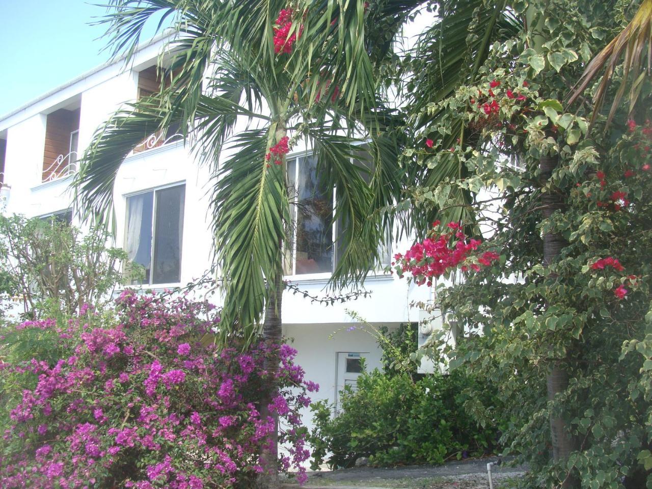 Coral Lane Beach Apartments Saint James Kültér fotó